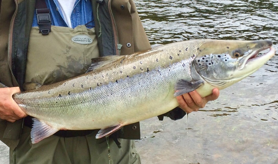 The Scottish Ghillie-因弗内斯必去景点