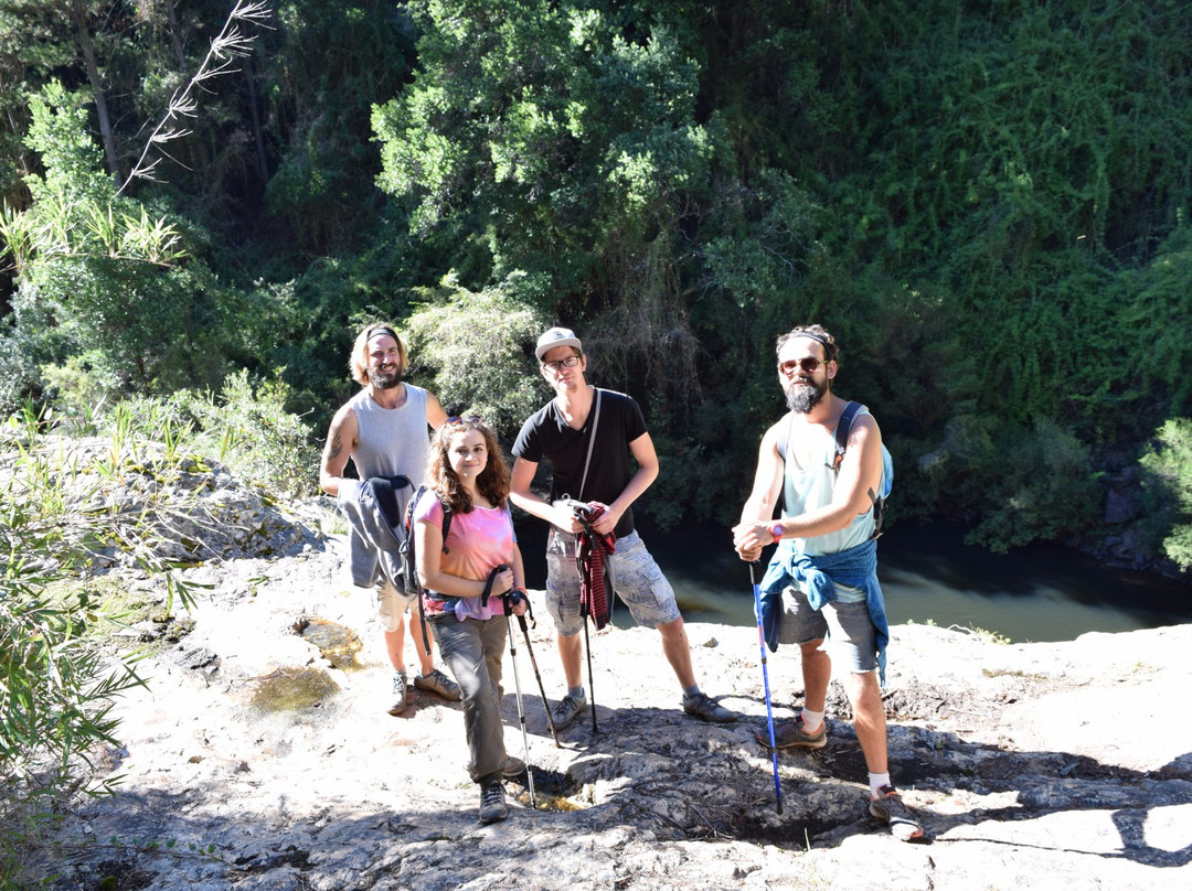 Rutas Pudu-Pelluhue必去景点