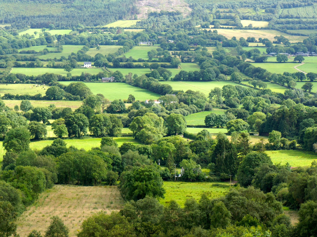 null-Glen of Aherlow