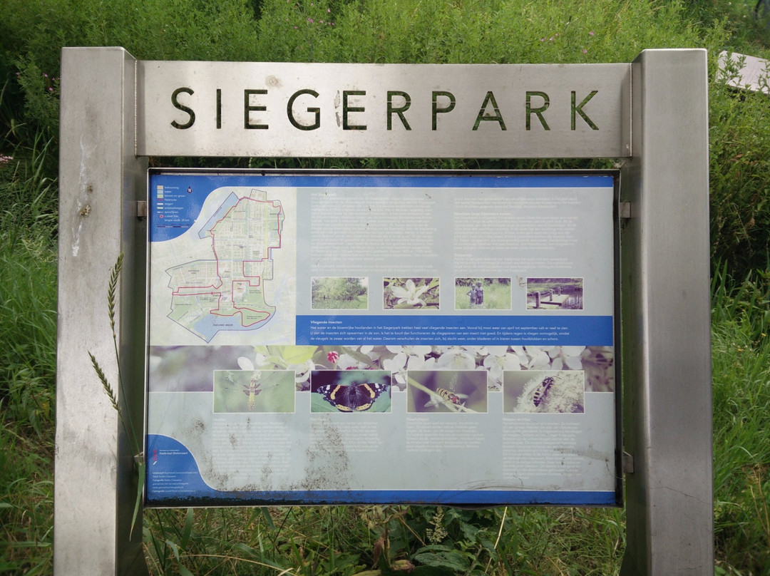 Siegerpark景点图片
