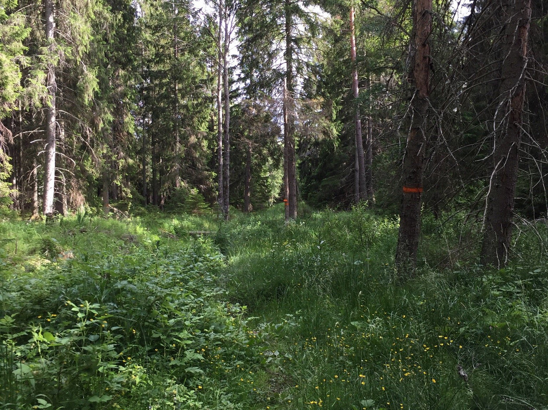 Roslagsleden-Danderyd必去景点