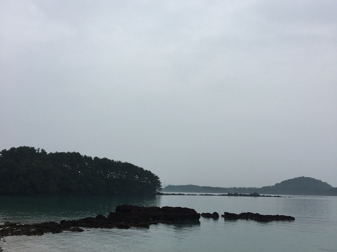 Kaki no Hama Beach景点图片