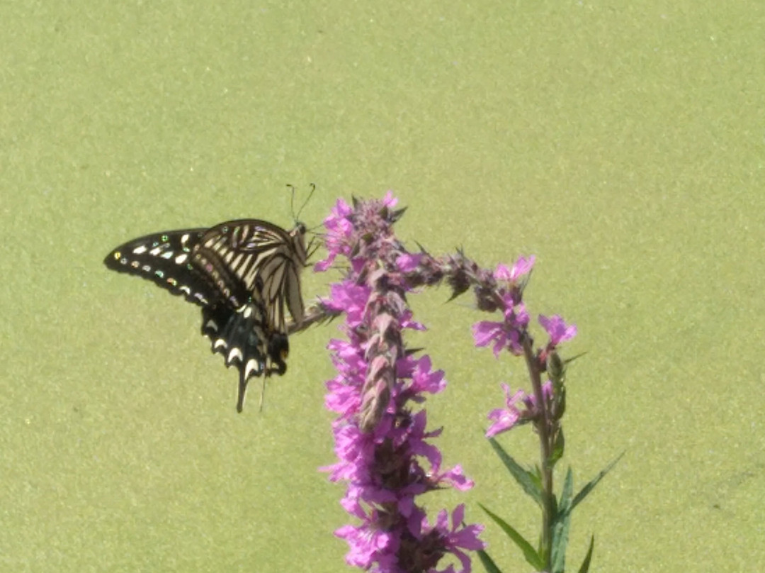 陶唐峪-霍州市必去景点