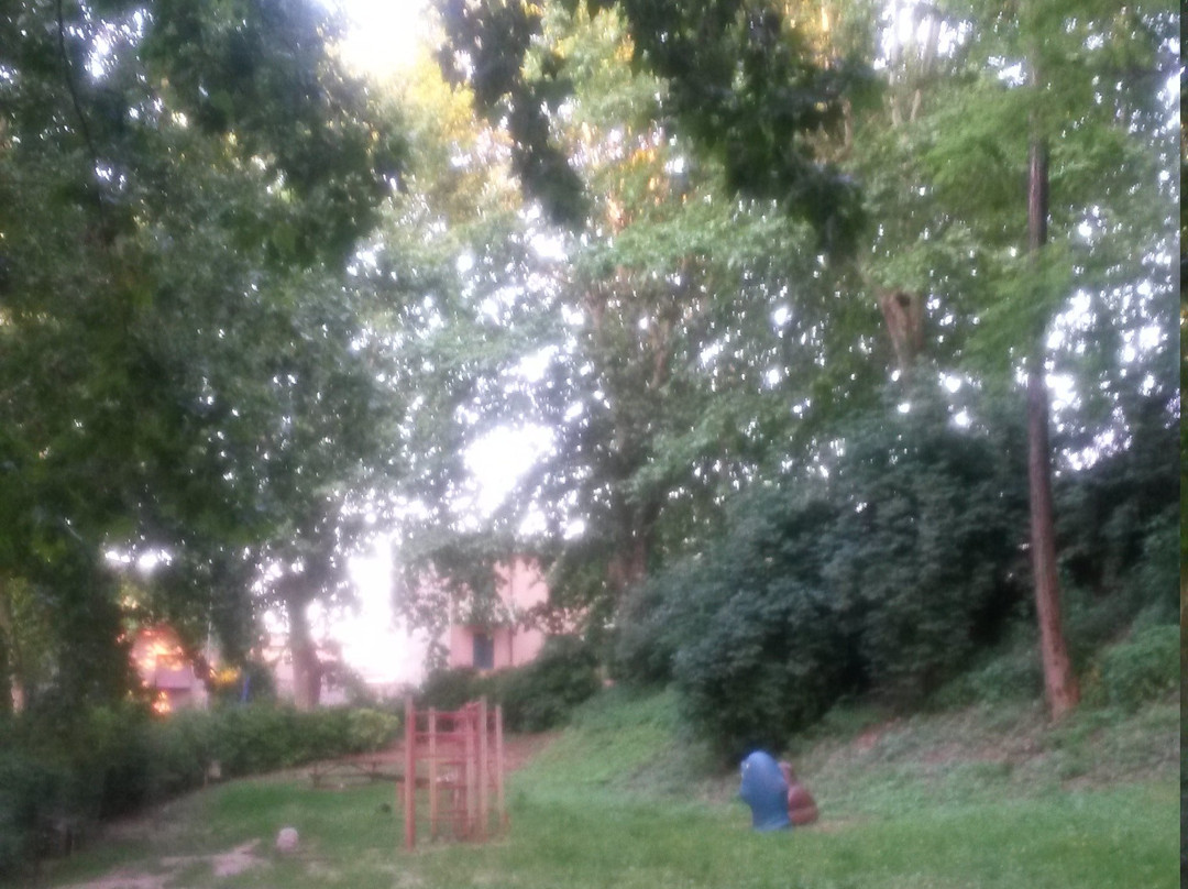 Parco Colline Moreniche di Castiglione景点图片