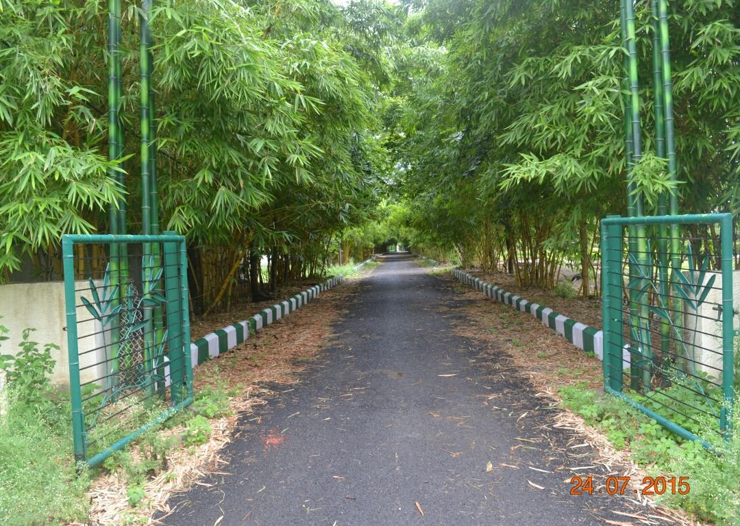 Bamboo Garden景点图片