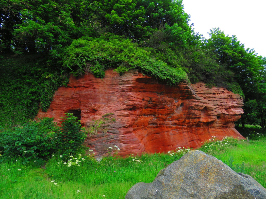 East Wemyss旅游景点-Wemyss Caves Visitor Centre and Museum