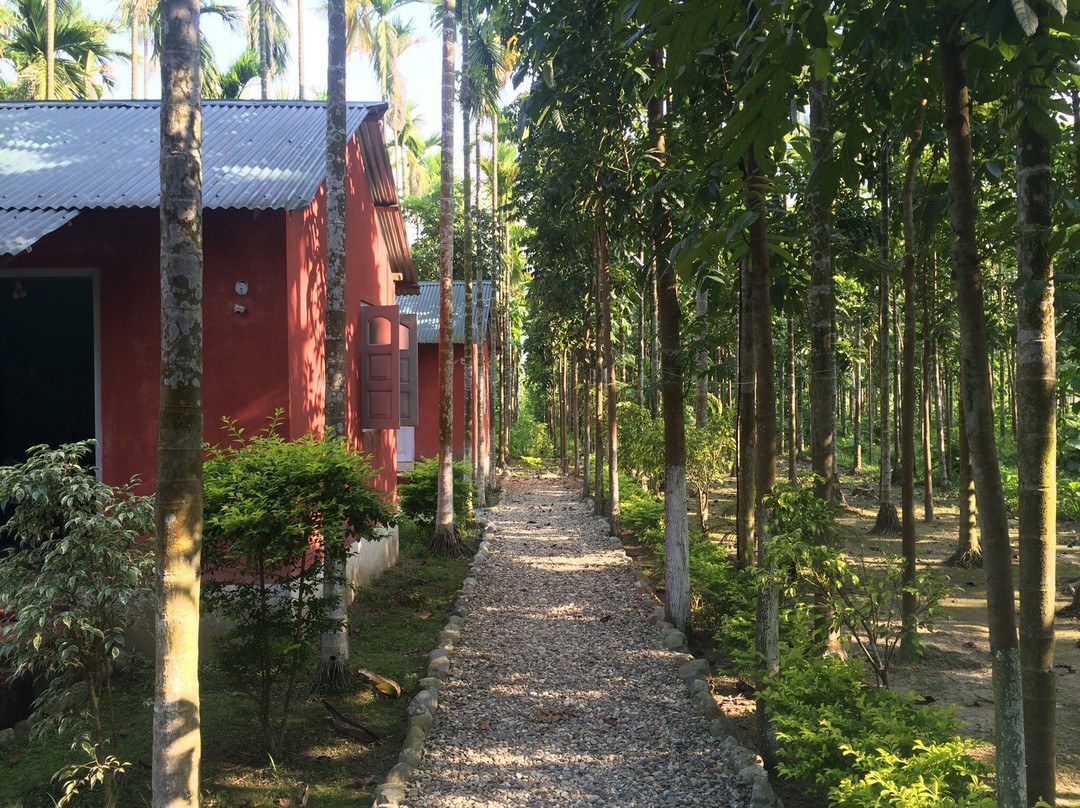 雅杨蒂山丘丛林营地度假村