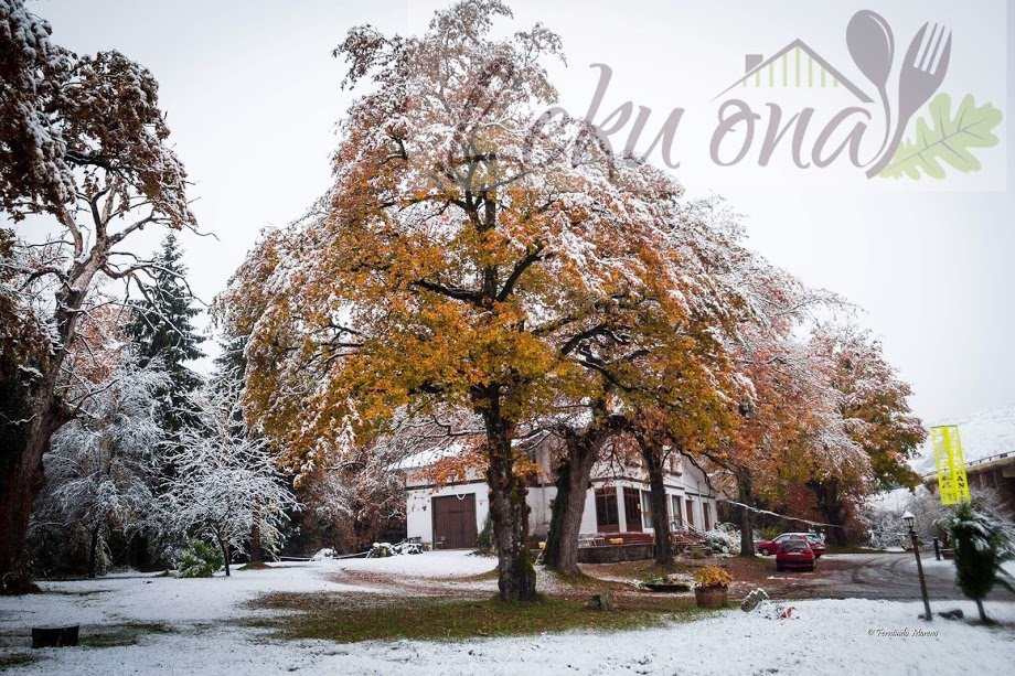 Arbizu餐馆和美食-Leku Ona