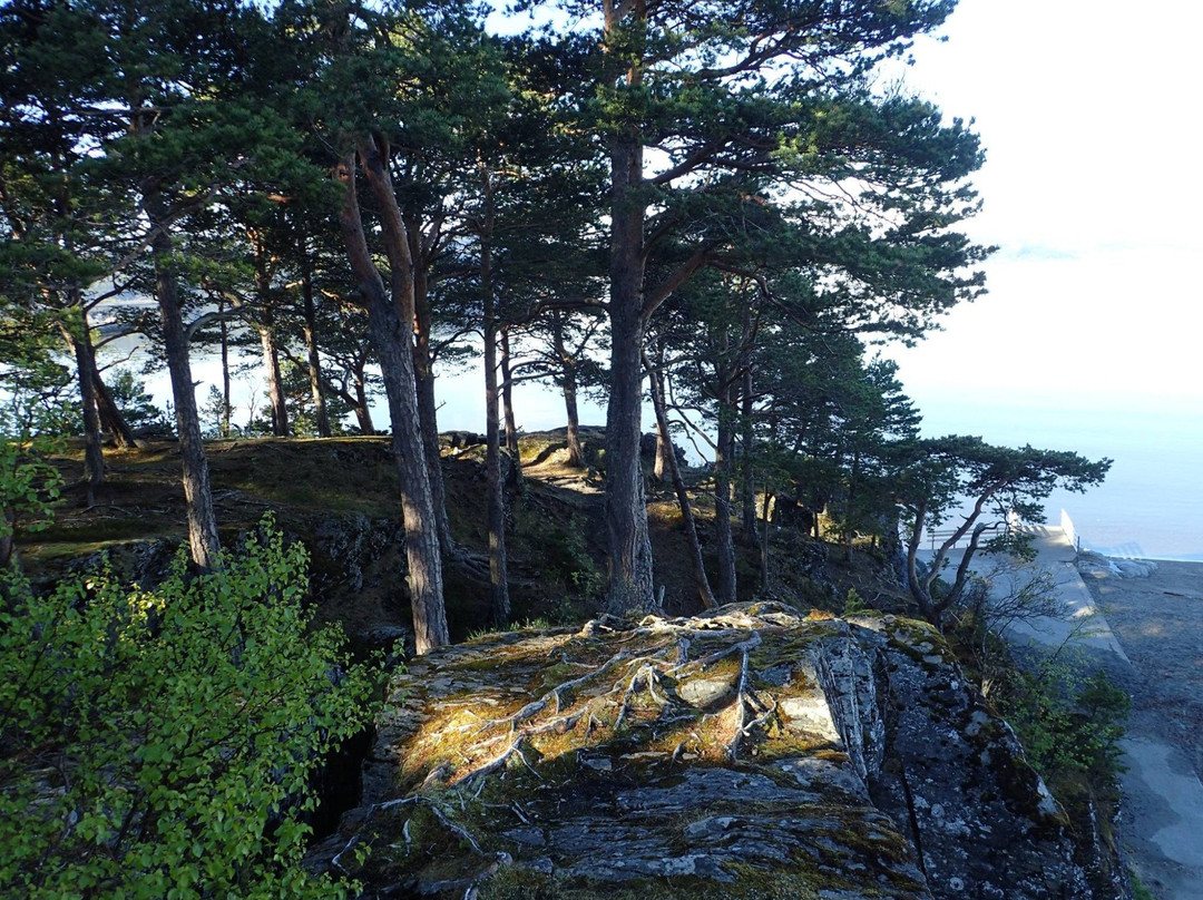 Storvika Badestrand景点图片