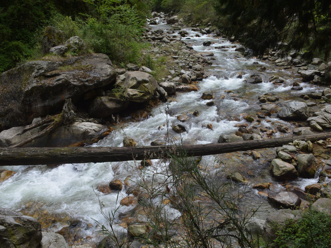 Soul Mountain Expeditions-西姆拉必去景点