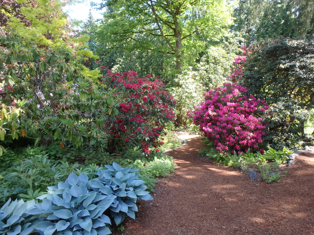 The Glades,  457 172 St, Surrey, Bc V3s 9p8-素里必去景点