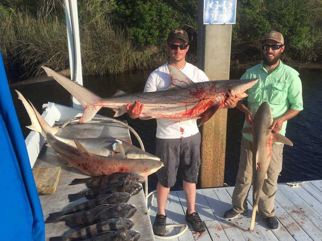 Tailn' Tides Charters-美特尔海滩必去景点