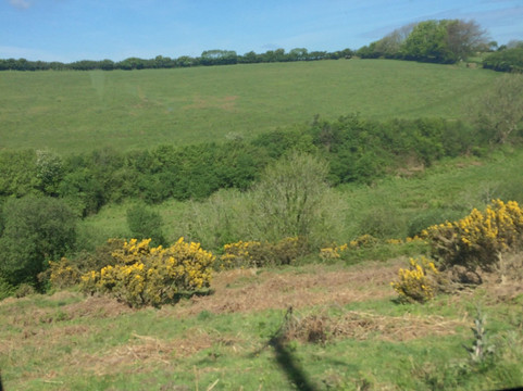 Keypitts Farm-伊尔弗勒科姆必去景点