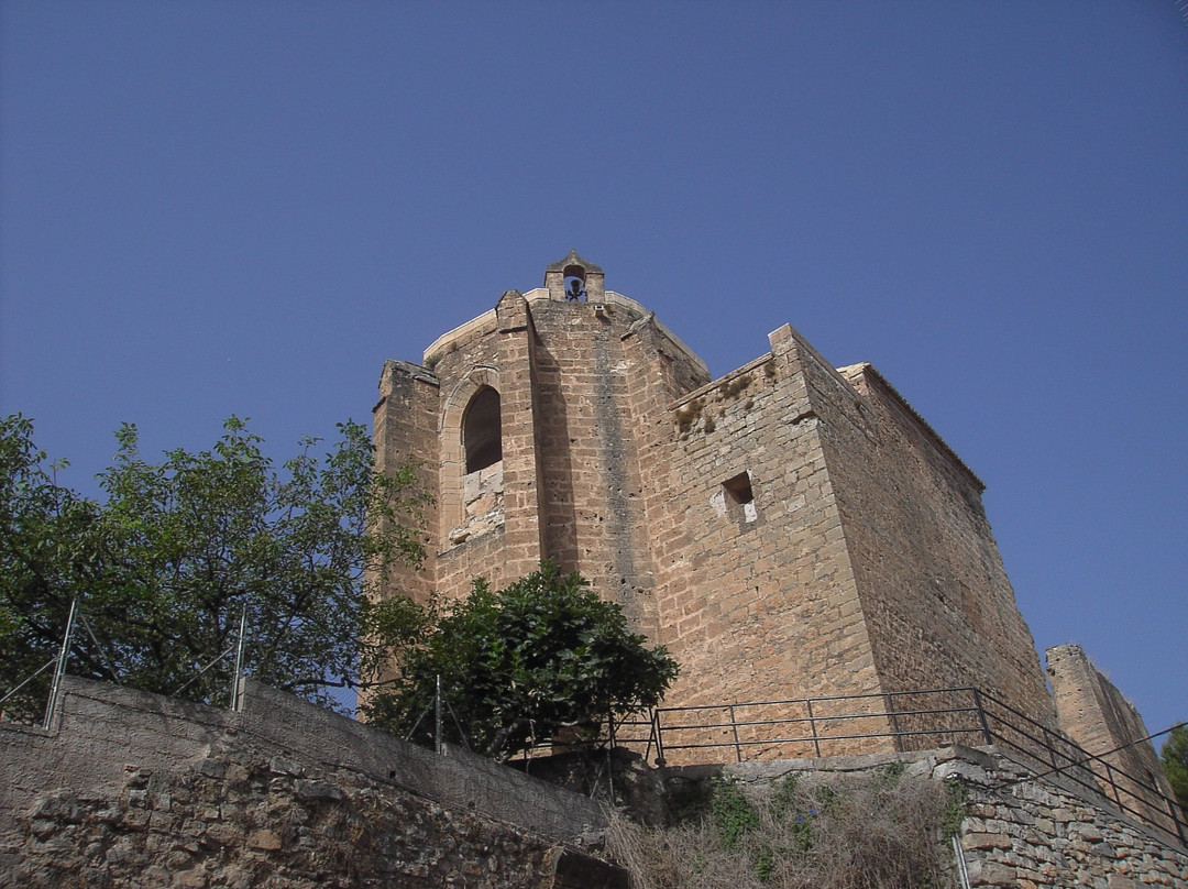 Torre Mudejar de la Alcudia景点图片