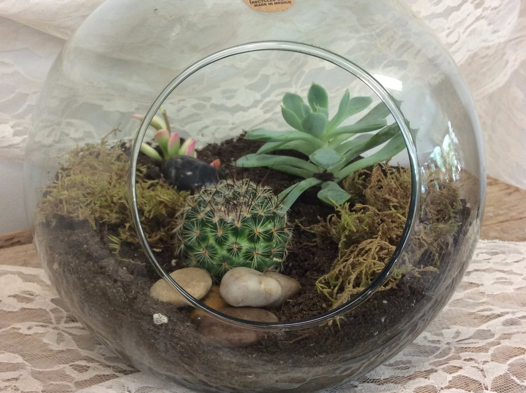 Pardon My Garden-帕里桑德必去景点