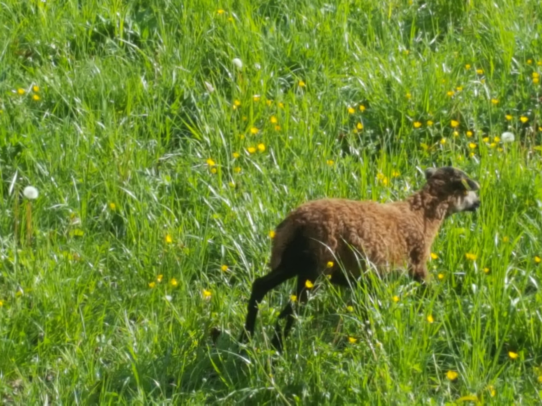 Wurmlinger Kapelle-内卡河畔罗滕堡必去景点