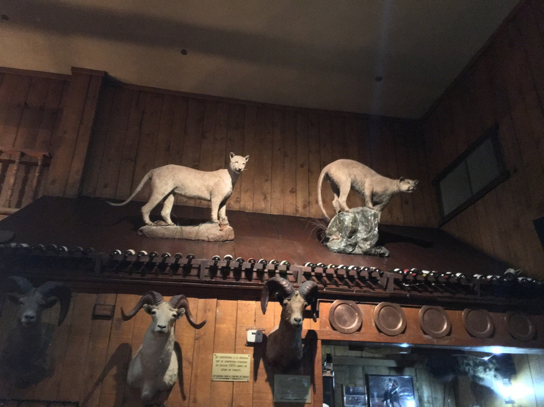 Gamma Guaymas Armida Hotel主图