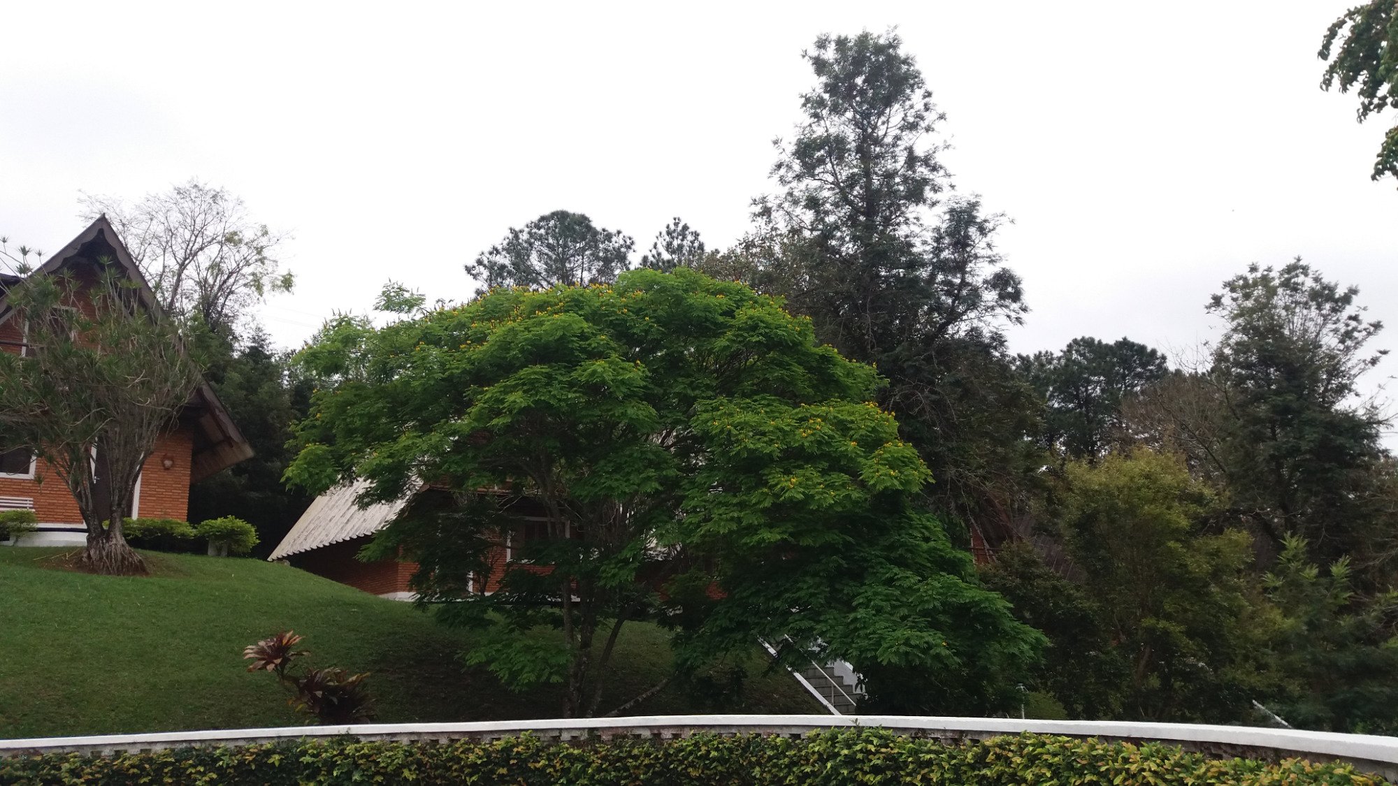 Pousada Estancia das Flores-浴室