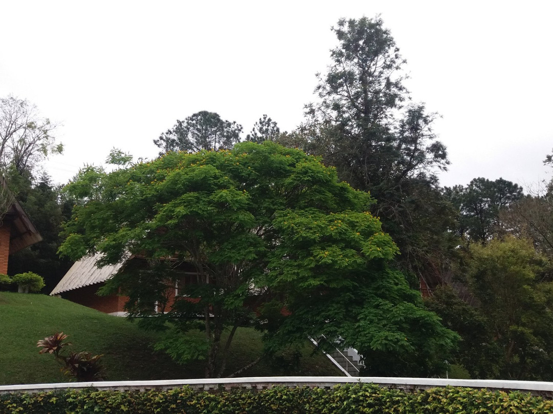 Pousada Estancia das Flores主图