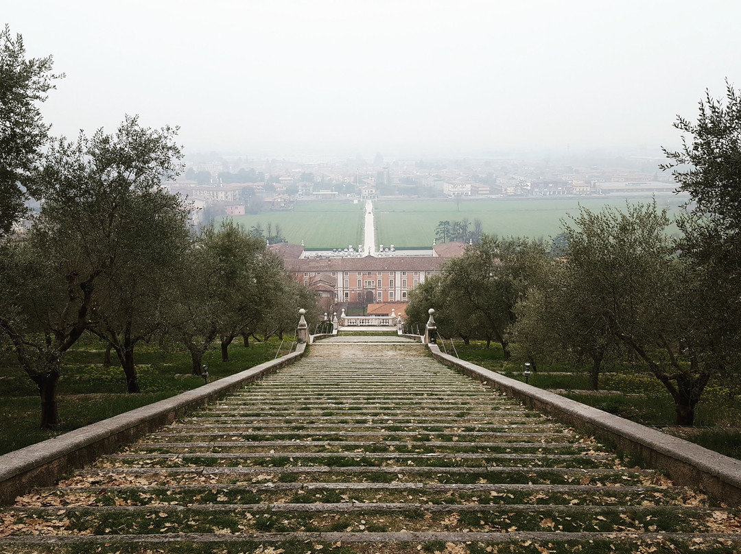 Parco di Bacco景点图片
