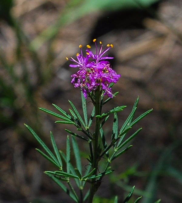 Monument Rock Trail-Monument必去景点
