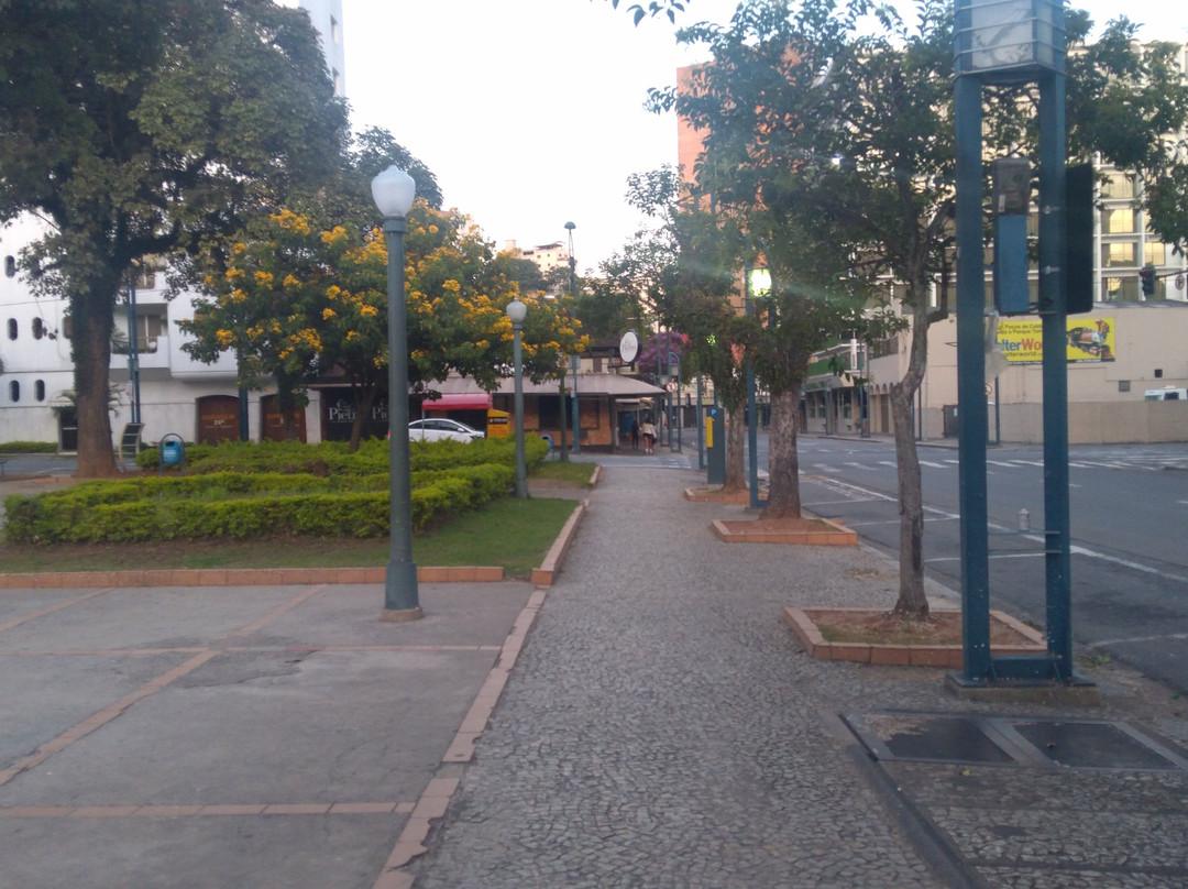 Fonte dos Macacos-Pocos de Caldas必去景点