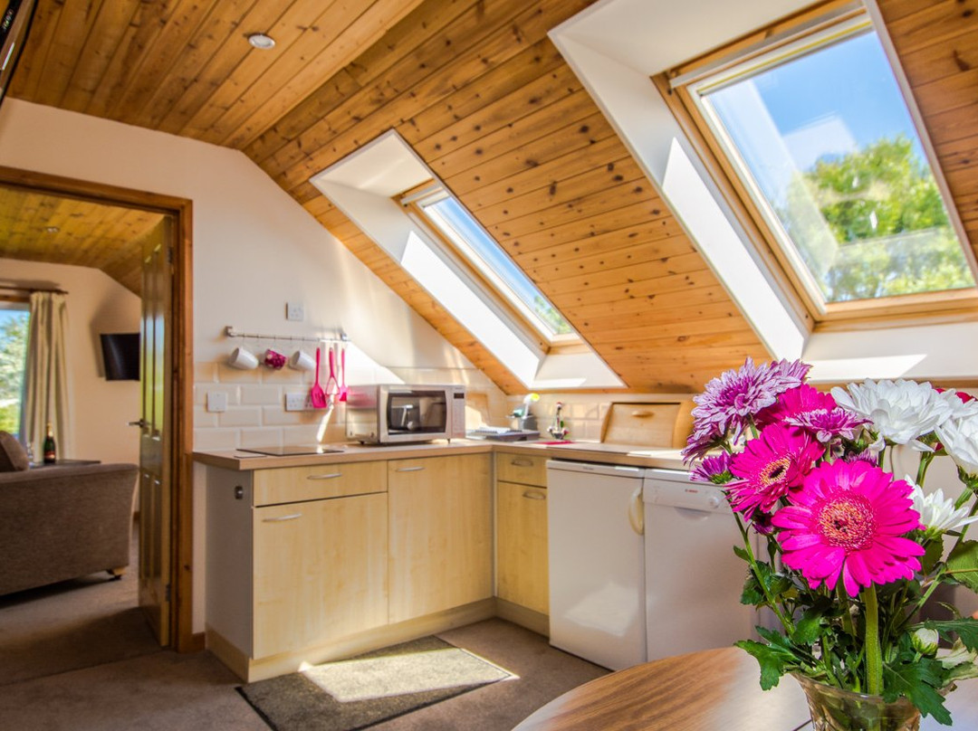 Old Town酒店住宿-Schiller Holiday Suites