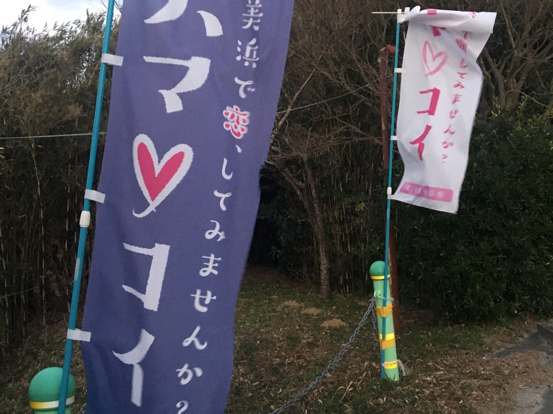 Koinomizu Shrine-美滨町必去景点