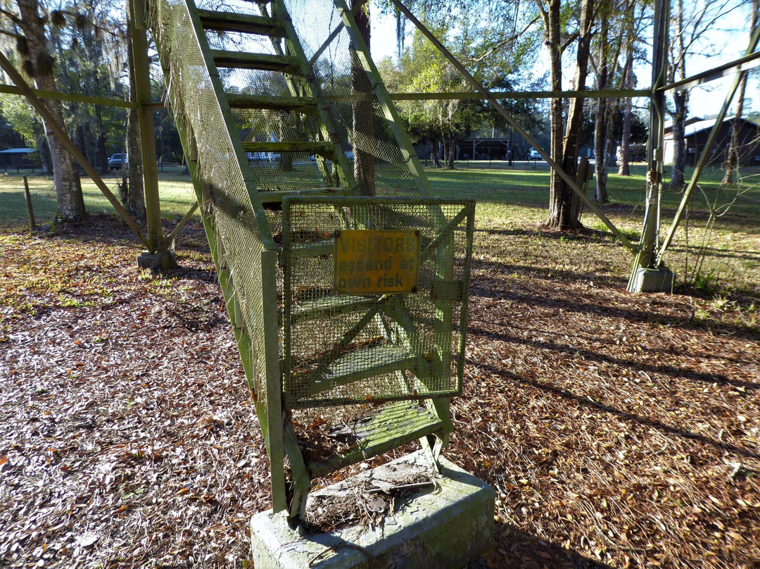 Richloam Fire Tower Trailhead-Webster必去景点
