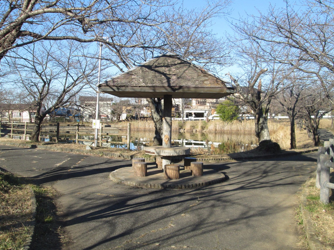 Hojo Oike Pond-筑波市必去景点