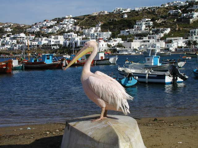 Kyklomar Tours-米克诺斯镇必去景点