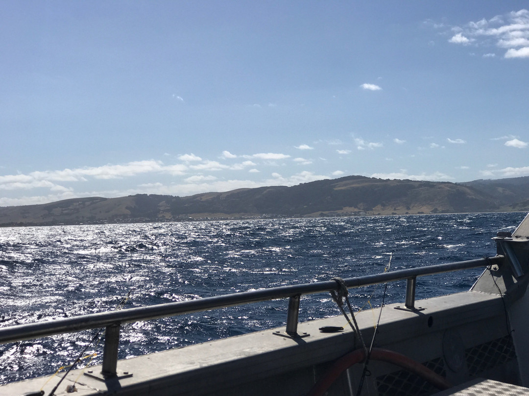 Apollo Bay Fishing & Adventure Tours景点图片