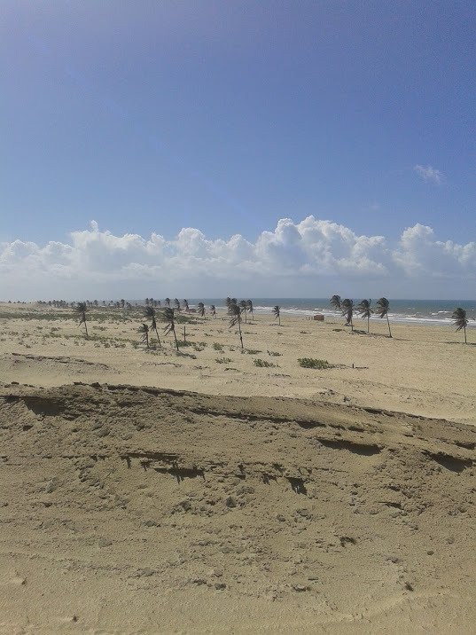 Praia de Cana Brava景点图片