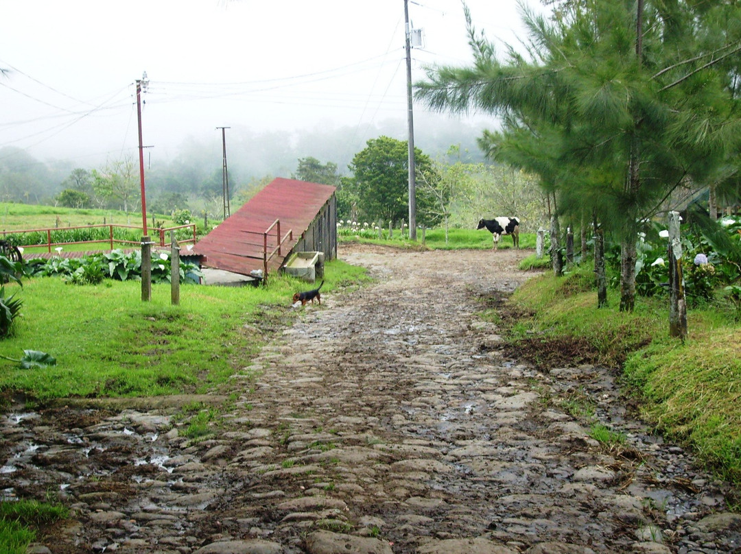 Finca lechera y Rancho Samana景点图片