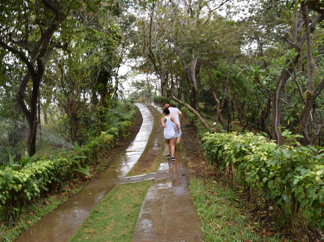 Botanical Garden of Guayaquil景点图片