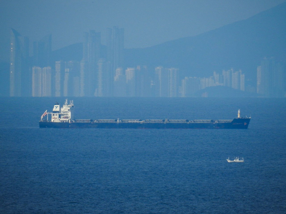 Hill Where Neighbor Country Sees It Observatory-对马市必去景点