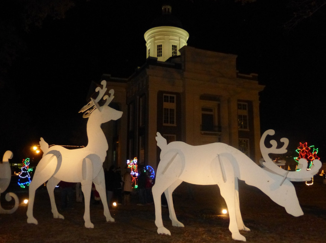 Canton Christmas Festival景点图片