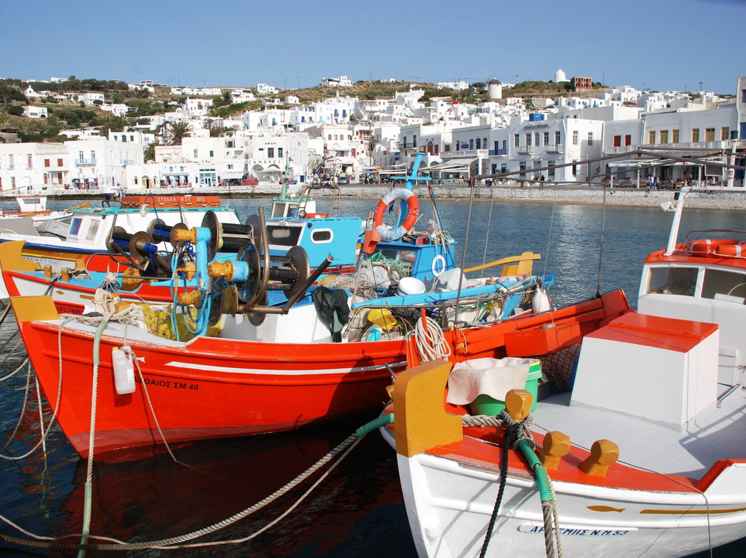 Kyklomar Tours-米克诺斯镇必去景点