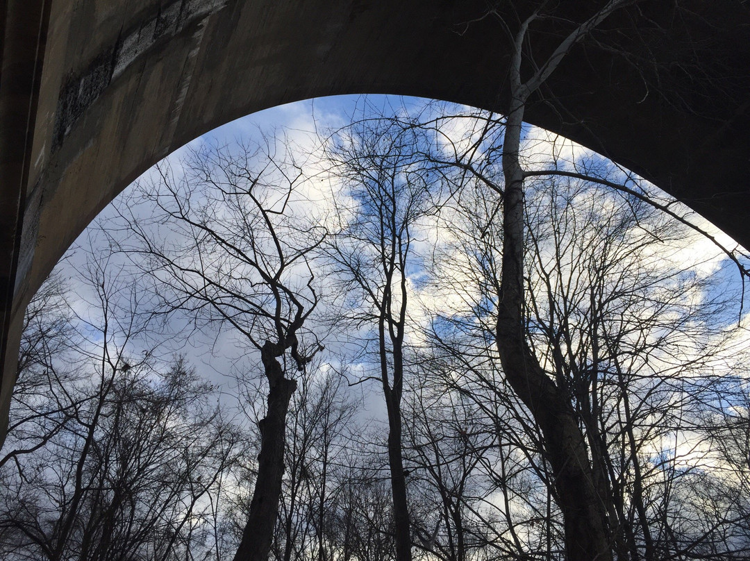 Paulinskill Viaduct景点图片