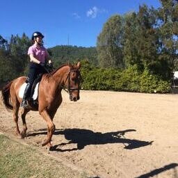 Wattle Creek Equestrian Centre-布里斯班必去景点