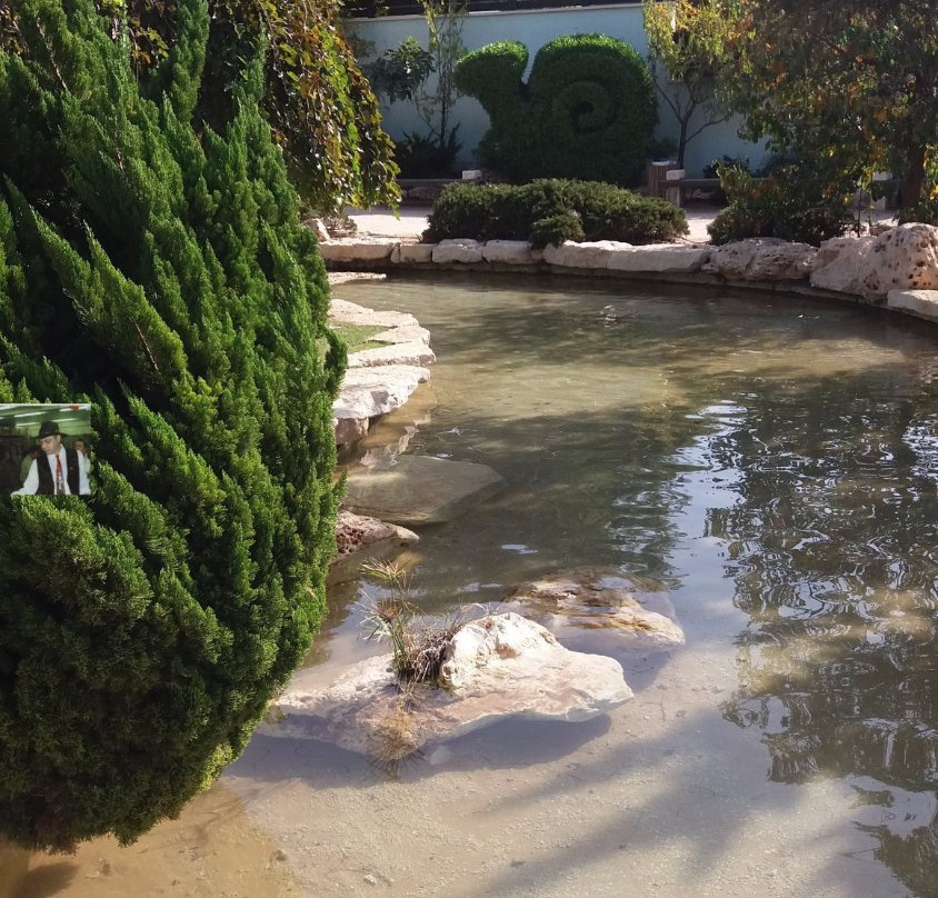 Japanese Garden-霍隆必去景点