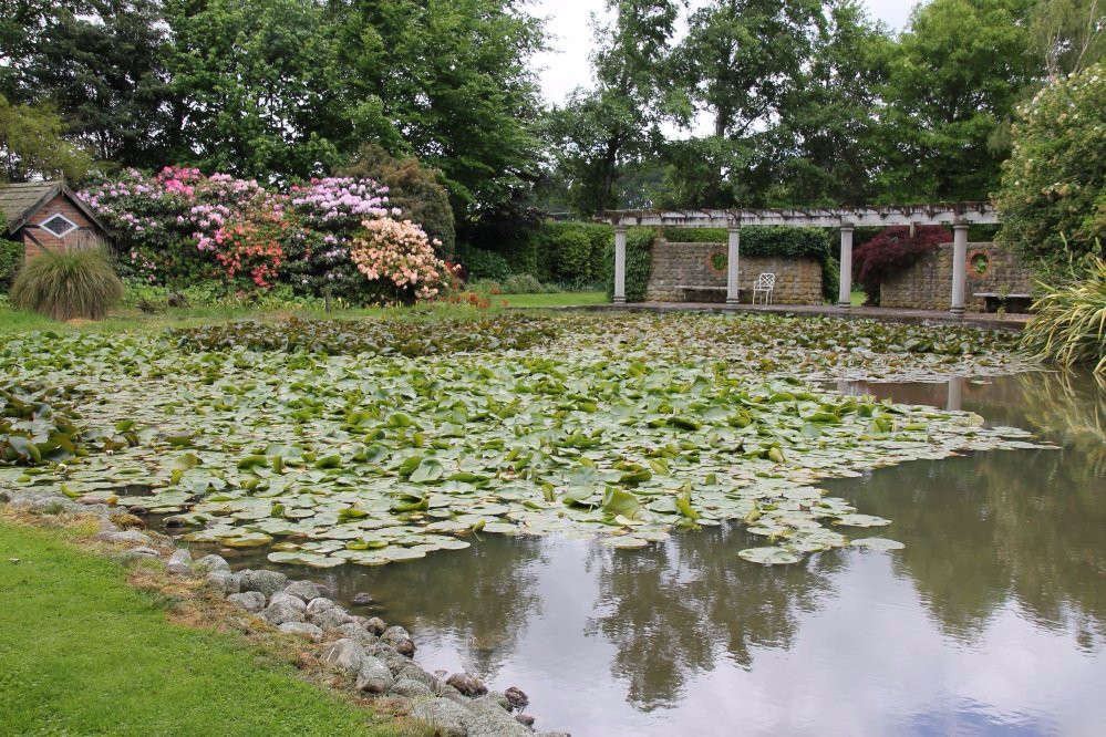Awaiti Gardens景点图片