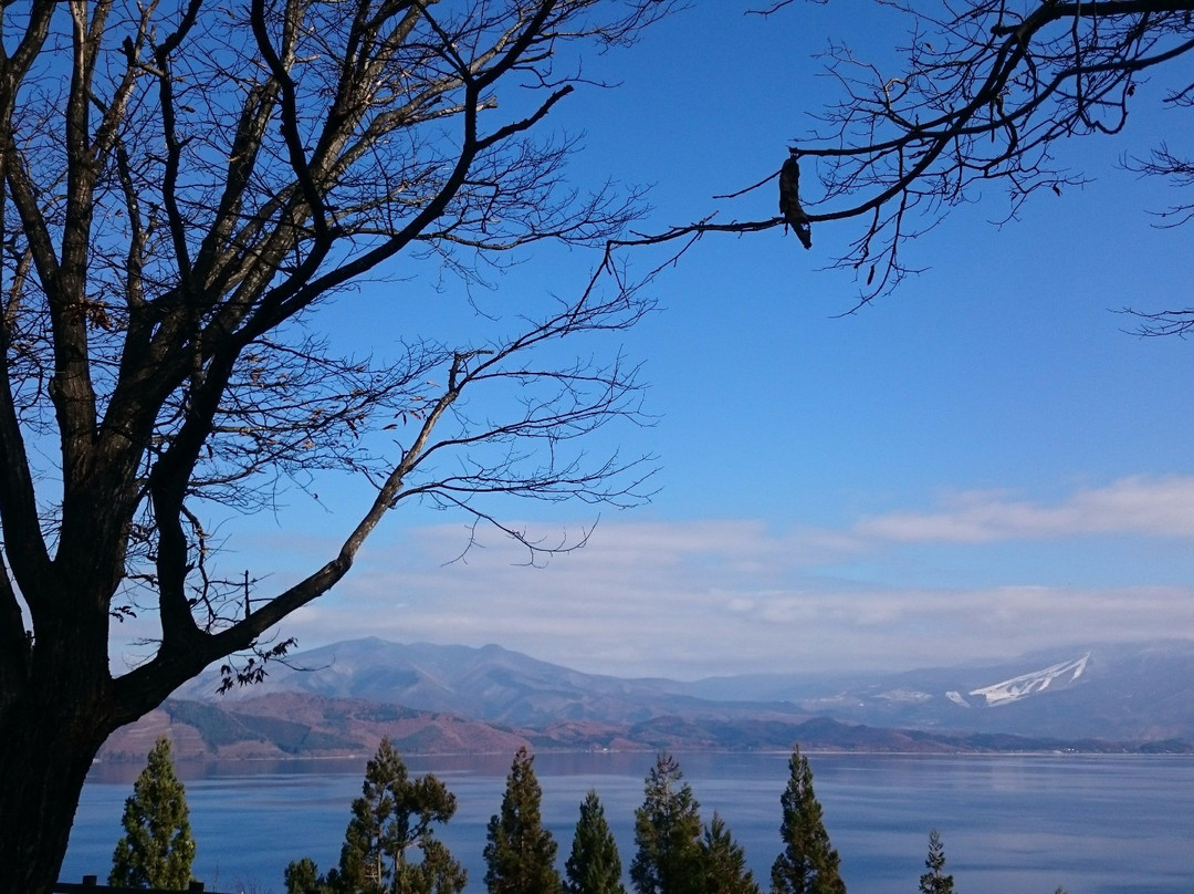 Katamaeyama Forest Park景点图片