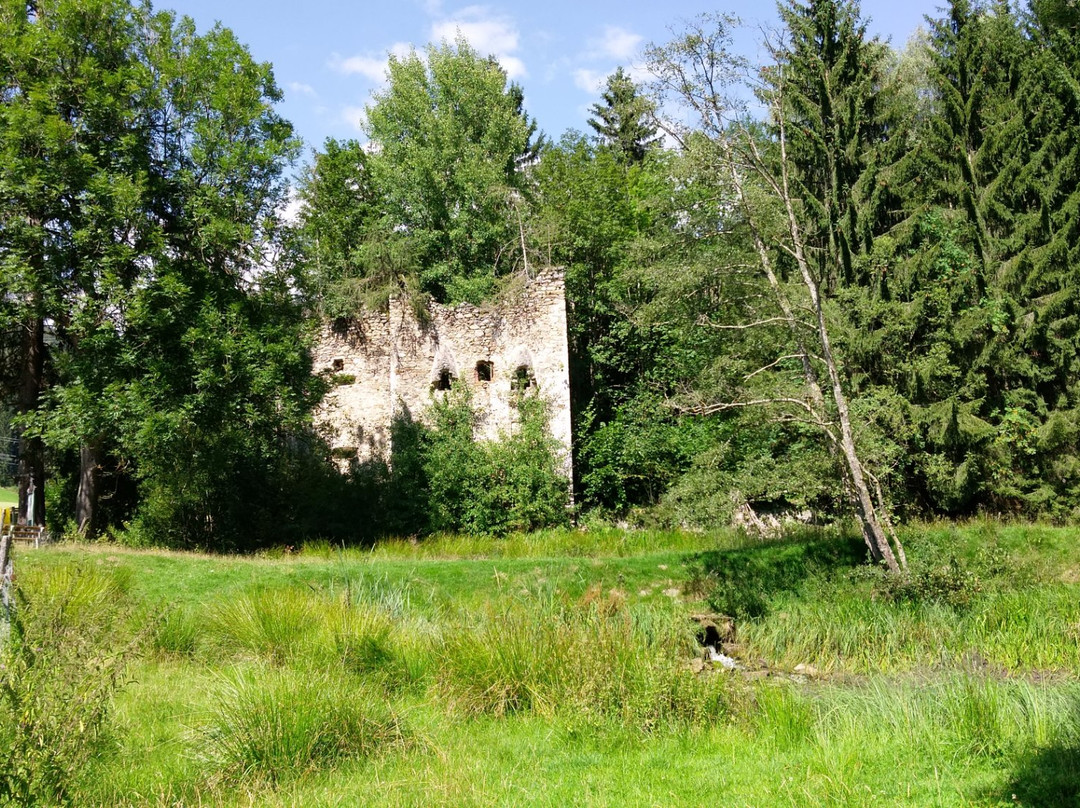 Ruine Painburg景点图片
