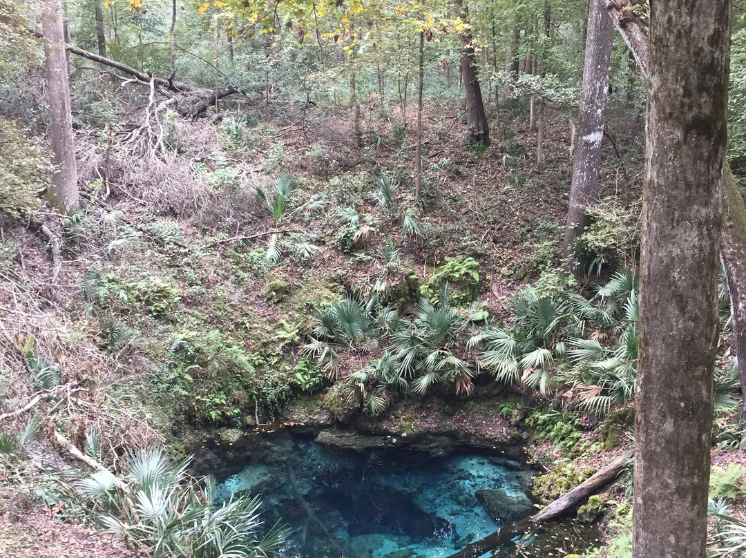 Wes Skiles Peacock Springs State Park-Live Oak必去景点