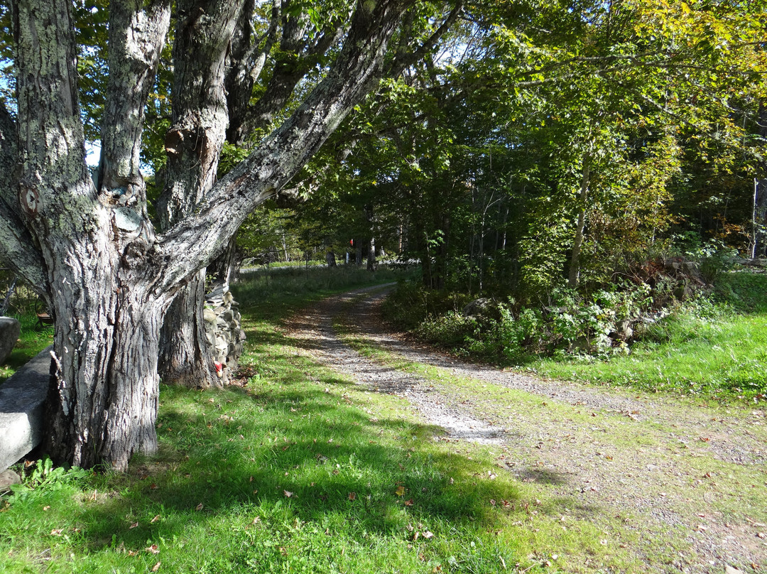 Chamcook Forest Lodge主图