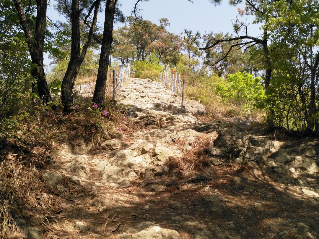 Paryongsan-昌原市必去景点