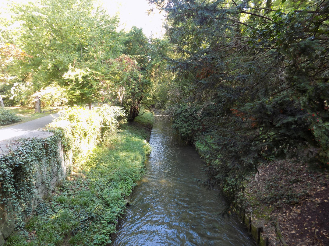 Alter Botanischer Garten景点图片