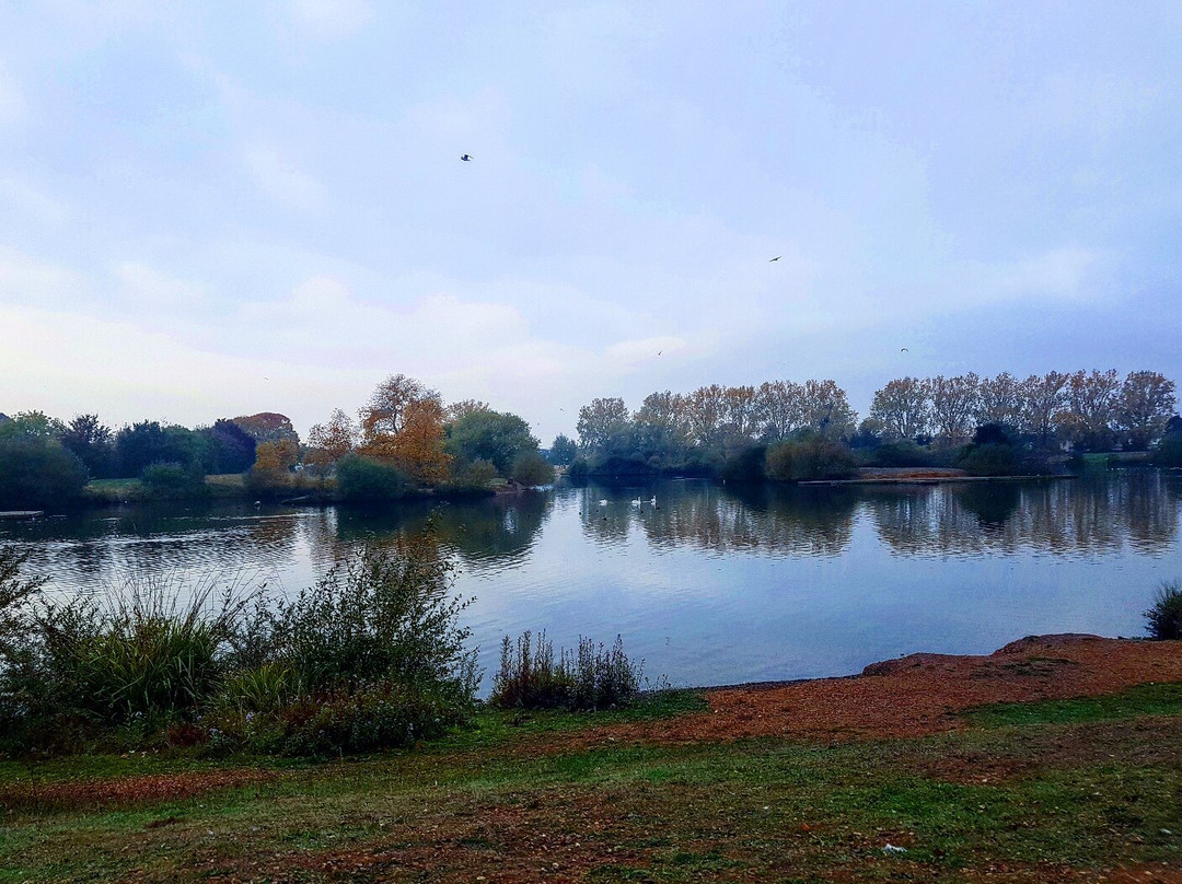 Mayesbrook Park景点图片