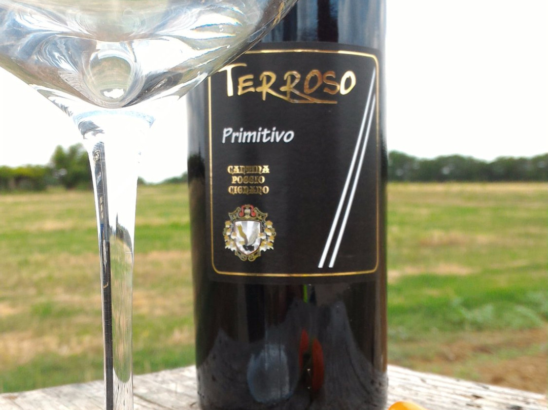 Cantina Poggio Cignano-Ginosa必去景点